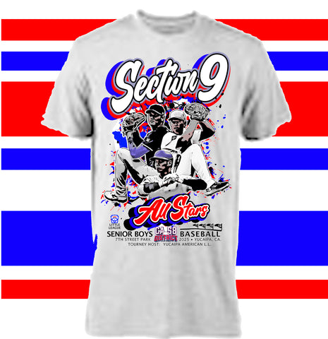 Section9